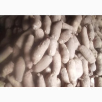 Quality Seed Yam Available