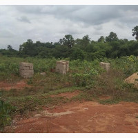 1000 Plots of Land for Sale at Nkwelle Anambra State