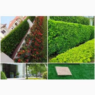 Landscaping Services