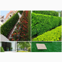 Landscaping Services