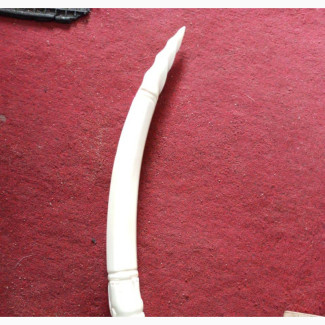 Unique 22 and Half Inches Original Ivory Elephant Tusks