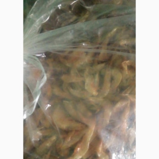 Fresh Crayfish and Prawn Available