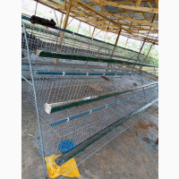 Poultry Cage for Layers