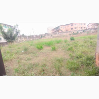 Acre of Land Behind Aiyefele Studio Ibadan