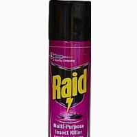Raid Multi-Purpose Insect Killer Insecticide - 100% Effective