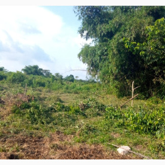 50ft by 100ft for Sale