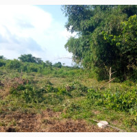 50ft by 100ft for Sale