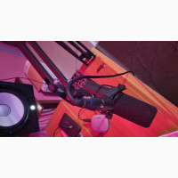 Shure Sm7b