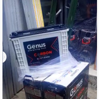 220a 12v Genus Tubular Battery