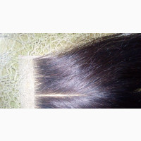 Dqueen Hair Line