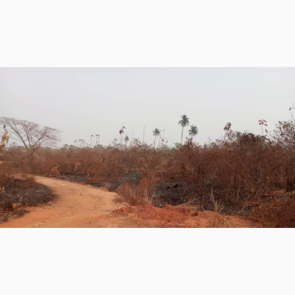 Mixed-Use Land in Awka - Prime Location
