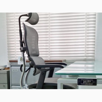 Office Chair (Orthopedic)