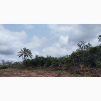 Affordable Parcelated Land in Okuku Owerri - Limited Availability