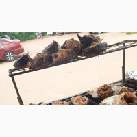Grill Spot for Barbecue Lovers