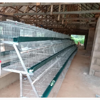 96 Birds Battery Cage - Conveniently House Your Birds