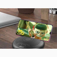 Zealot S24 Portable Bluetooth Speaker With FM Radio