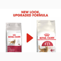 Royal Canin Regular Fit 32 Cat Dry Food 2kg