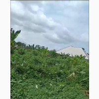 Residential Land with C of O in Prime Area