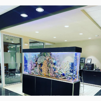 First Class Aquarium