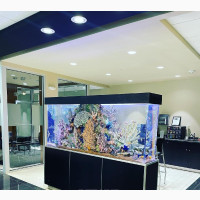 First Class Aquarium