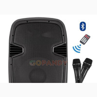 Matushi PA 15N 15′′ Portable Public Address System With Equa