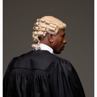 Litigation, Police, EFCC, NDLEA, ICPC, TENANCY, Bail Lawyer
