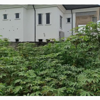 1 Plot at Cornerstone NTA Road in the Layout