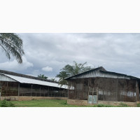 Poultry Farm in Ilora, Oyo State - 5-acre farm with pens, brooding house, ruminant house, farmhouse, and borehole. Perfect for agri-entrepreneurs. Con