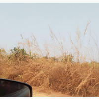Land for at a Very Good Price