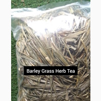 Barley Grass Herb Tea 100G