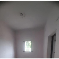 Double Shop for Rent in Kollington
