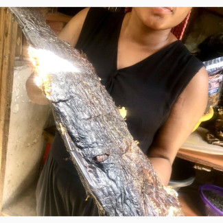 Giant Red Snapper - Delicious Fish for Sale