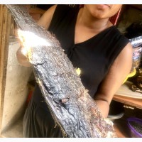 Giant Red Snapper - Delicious Fish for Sale