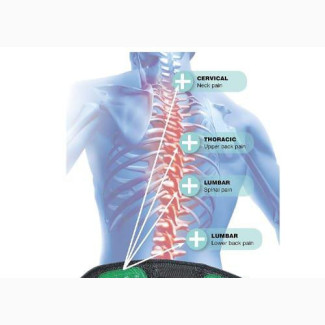 ABS Biofeedbac Lumbar Back Support Belt