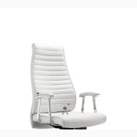 Swivel Office Chair