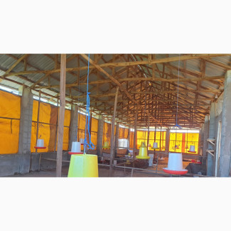 Functional Poultry Farm with Local Govt Approval