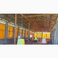 Functional Poultry Farm with Local Govt Approval