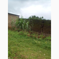 A Plot of Land on Unity Street Alakuko Lagos