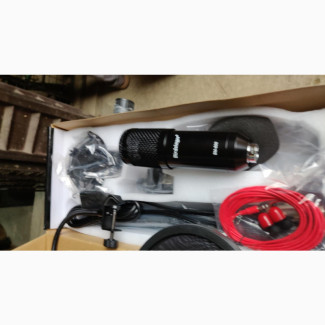 BM 800 Studio Mic