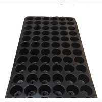 Seedling Trays 200 Cells