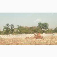 FCDA Certificate of Occupancy