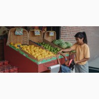 House Help Wanted At Banana Island