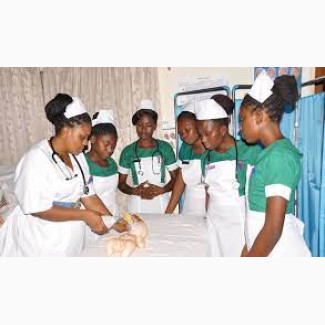 Mary Martha College of Nursing Sciences, Oleh, Delta State 2025/2026 nursing Form is Out