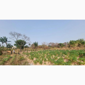 Spacious Residential Land Located In Obe, Nkanu