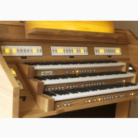 Wyvern Koralia 340 (Church Organ)