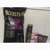 10kg Booster Puppy Dry Food, Wet Food and Treats Combo