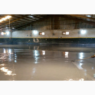Metallic Epoxy Floor