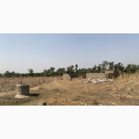 4 Nos Of 50x50 Flat Land For Sale