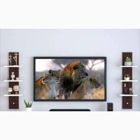 TV Stand Mount
