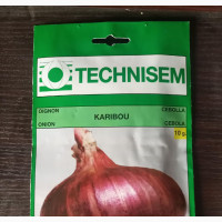 Fresh Technisem Onion Seeds for Sale